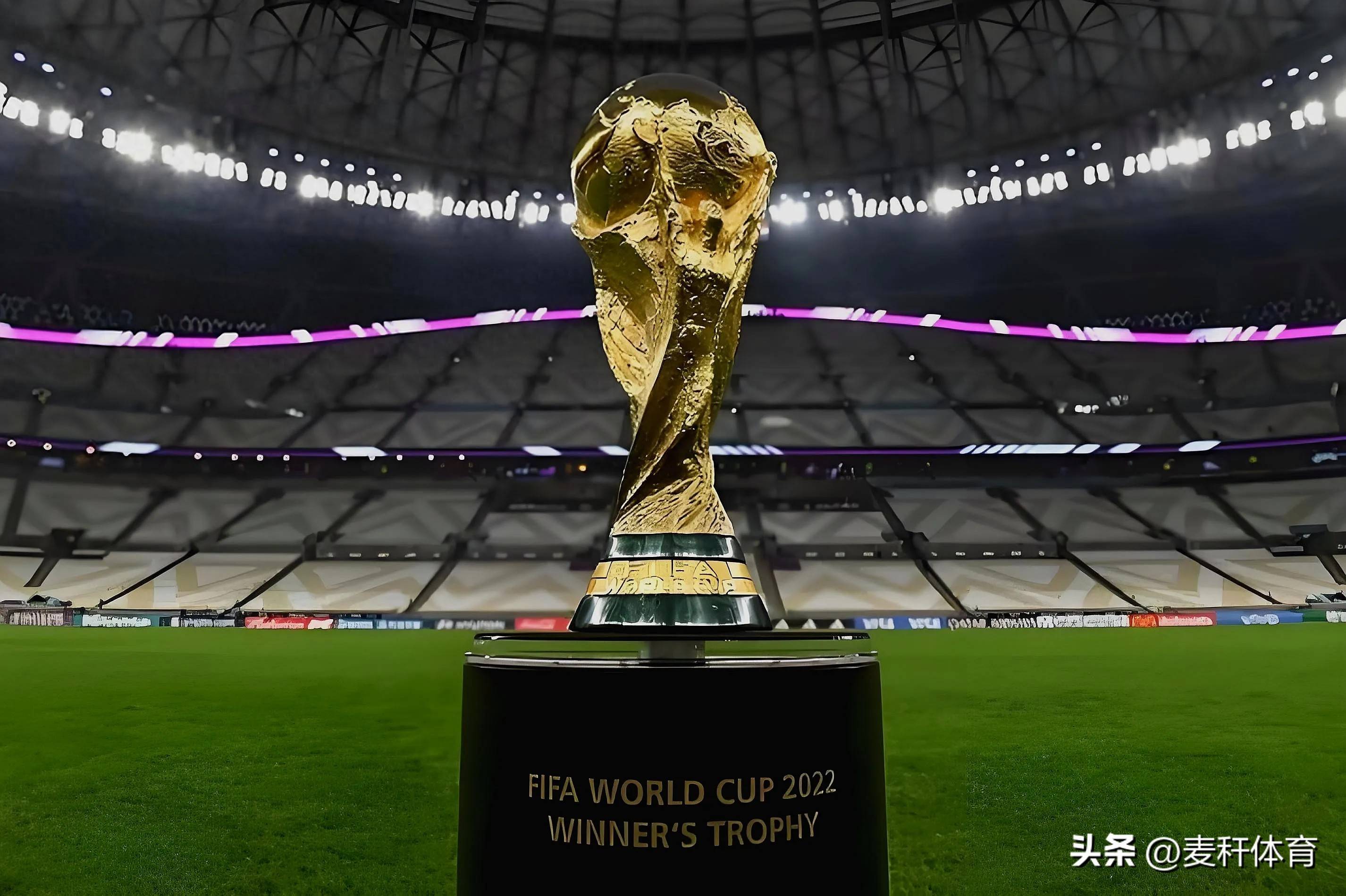 教练团队的 教练团队的