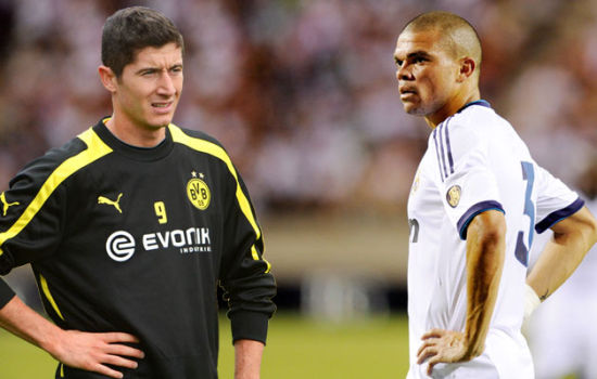 项目提供了 项目提供了